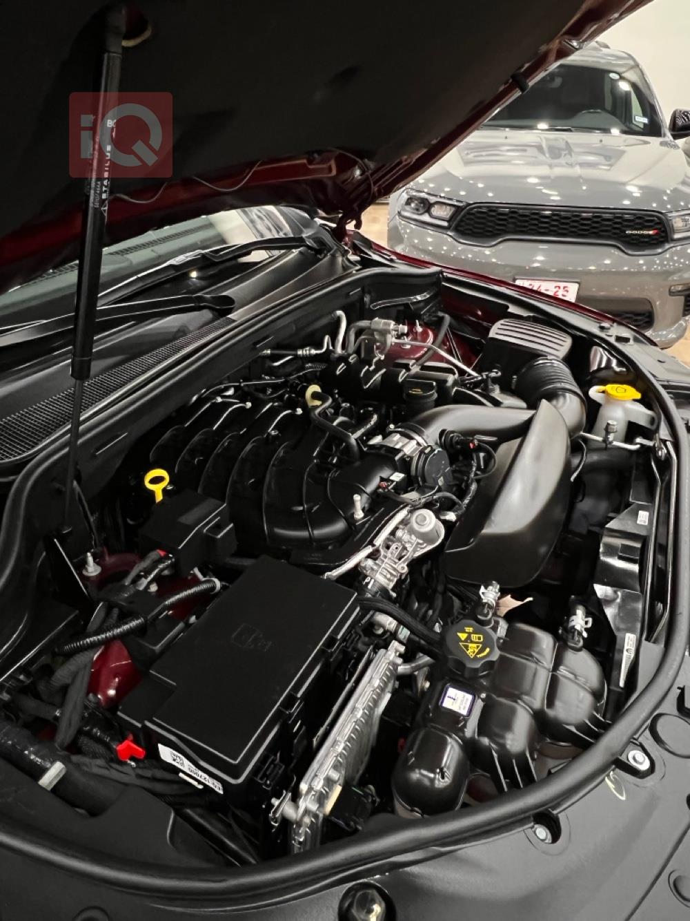 دودج دورانجو